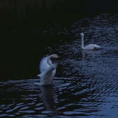 bob体育APP下载链接